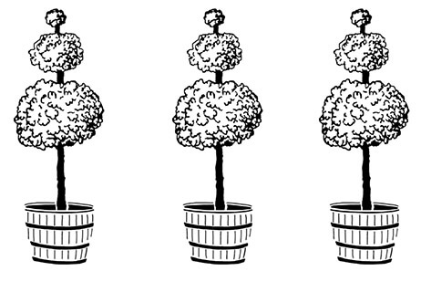 Topiary Tree